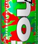 Four Loko Watermelon 24oz Can